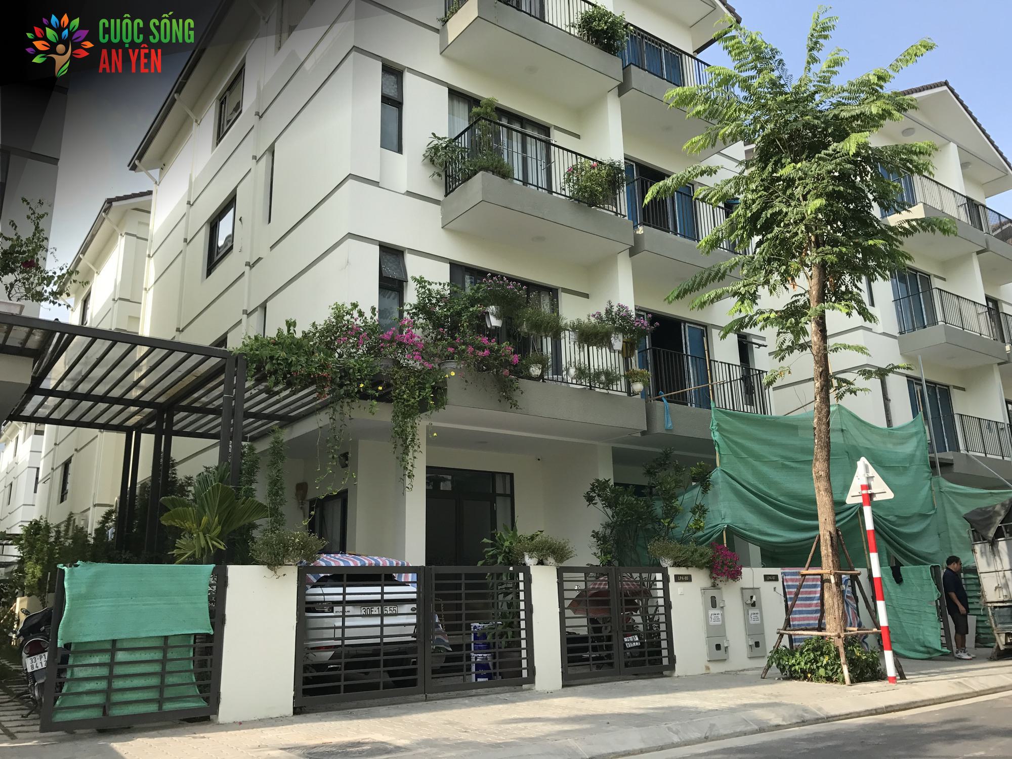 Lối Sống Xanh: Cân Bằng Giữa Tiện Nghi Và Bền Vững